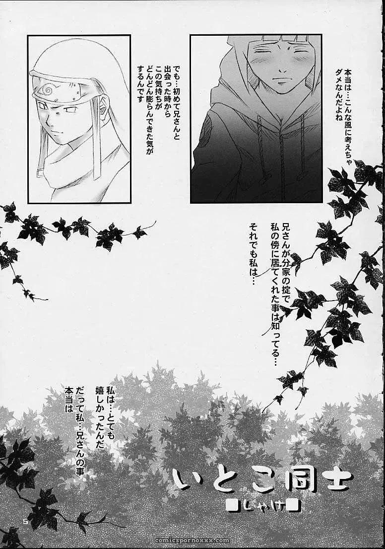 Honey Bunny (Naruto) – Shikisokuzekuu (Shake, Kuma) Doujinshi (C67) - Page 3