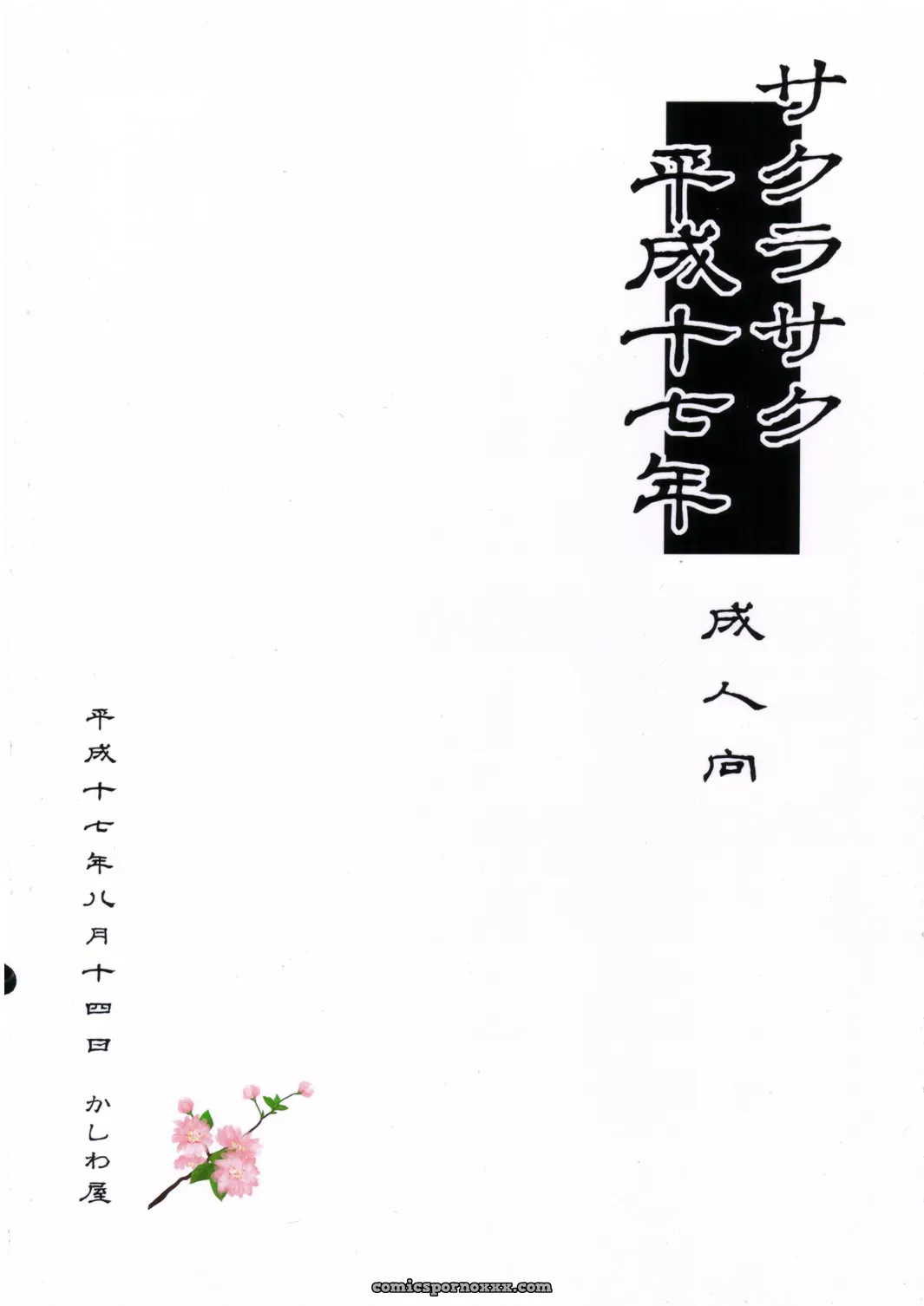 Naruto: Sakurasaku Heisei Juunana Nen (C68 Kashiwa-Ya Hiyo Hiyo) - Page 18