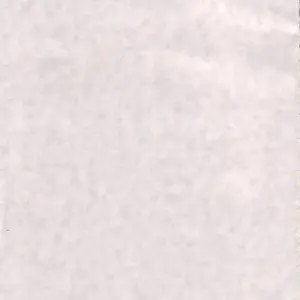 GUST-san Iro-Iro-Iro (Negima!) [SaHa] - Page 2