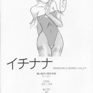 Semedain G Works Vol. 28 - Ichinana (DarkStalkers) [Fucking SaHa] - Page 3