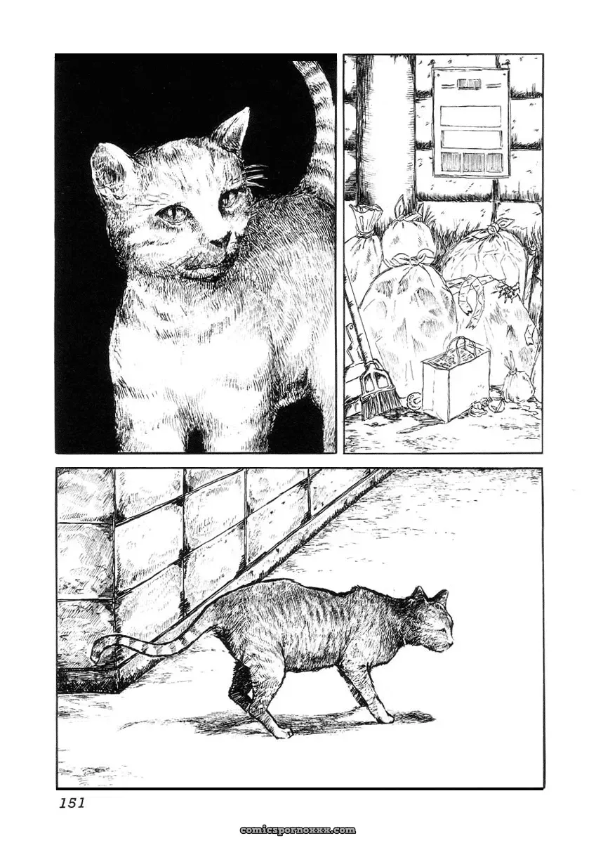 Hell Season: Jigoku no Kisetsu – Grotesque Rhythm - Page 153