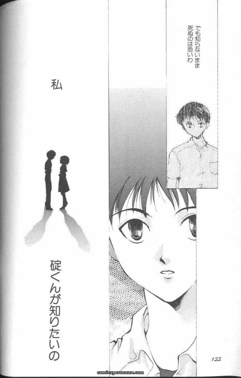 Angelic Impact #1: Neon Genesis Evangelion Anthology - Page 122