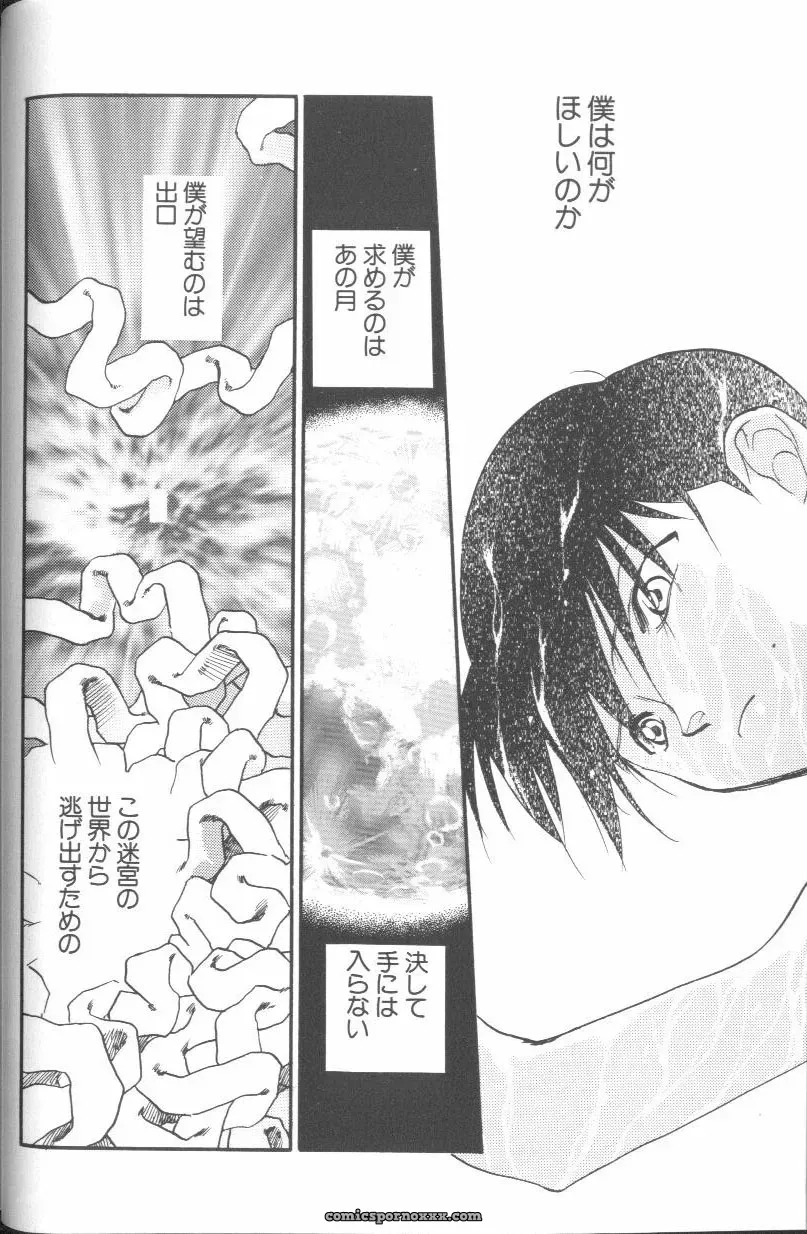 Angelic Impact #1: Neon Genesis Evangelion Anthology - Page 28