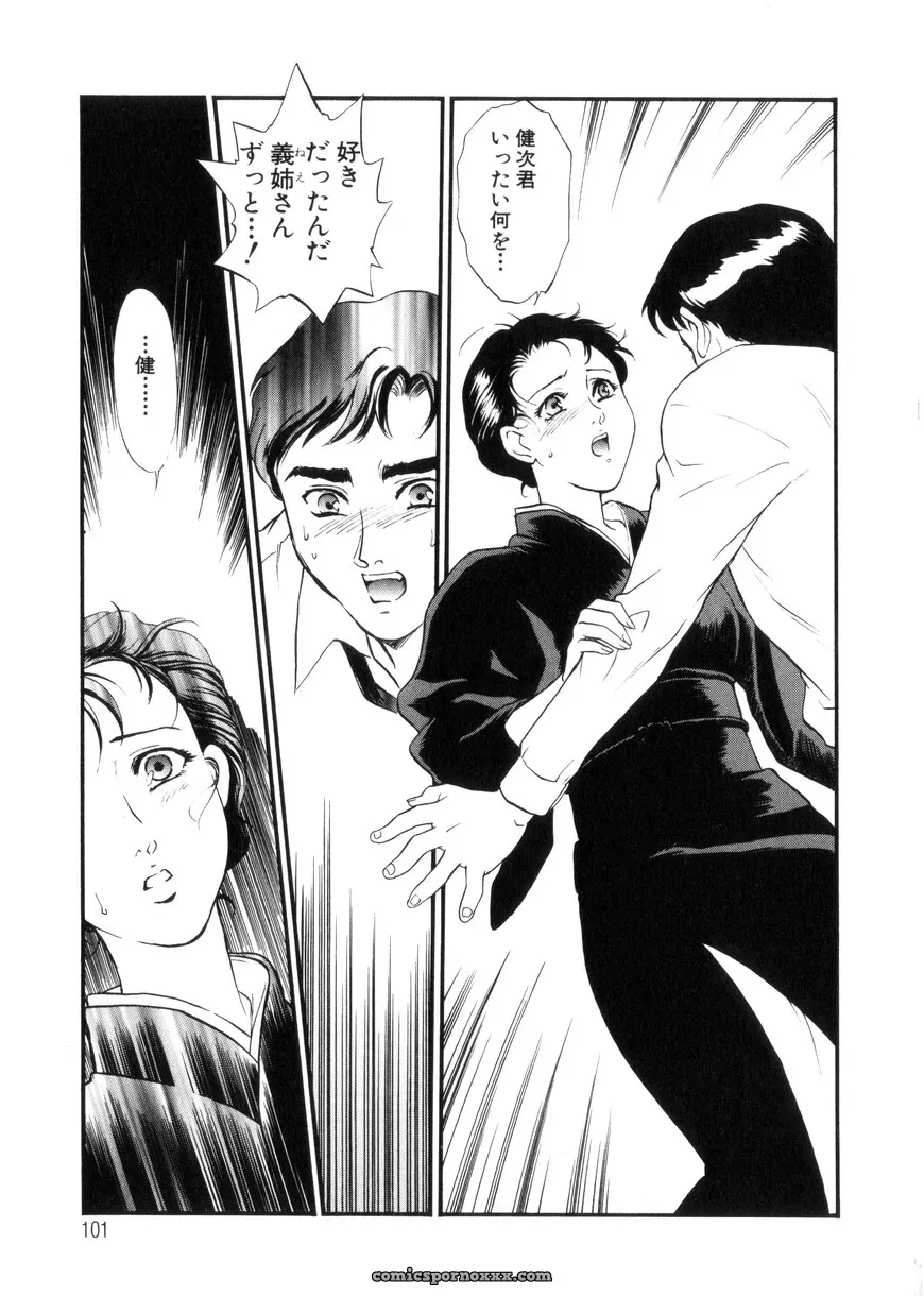 Fujii Akiko & Akiyama Michio: Hitozuma Moyou 3 – Midarezuma - Page 101