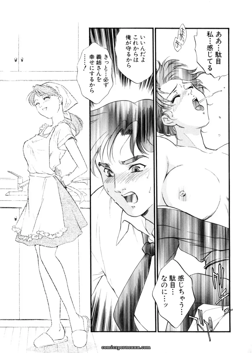 Fujii Akiko & Akiyama Michio: Hitozuma Moyou 3 – Midarezuma - Page 105