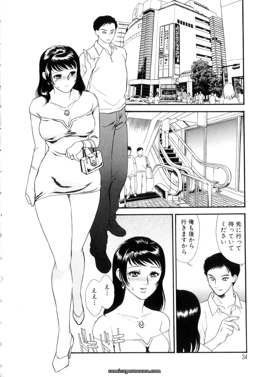 Fujii Akiko & Akiyama Michio: Hitozuma Moyou 3 – Midarezuma - Page 35