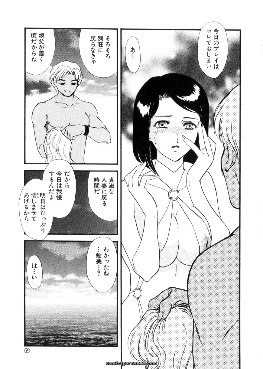 Fujii Akiko & Akiyama Michio: Hitozuma Moyou 3 – Midarezuma - Page 69