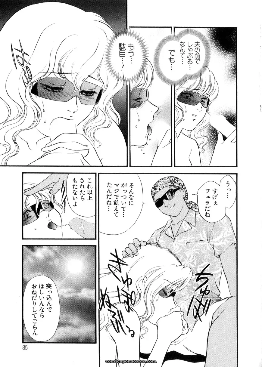 Fujii Akiko & Akiyama Michio: Hitozuma Moyou 3 – Midarezuma - Page 85