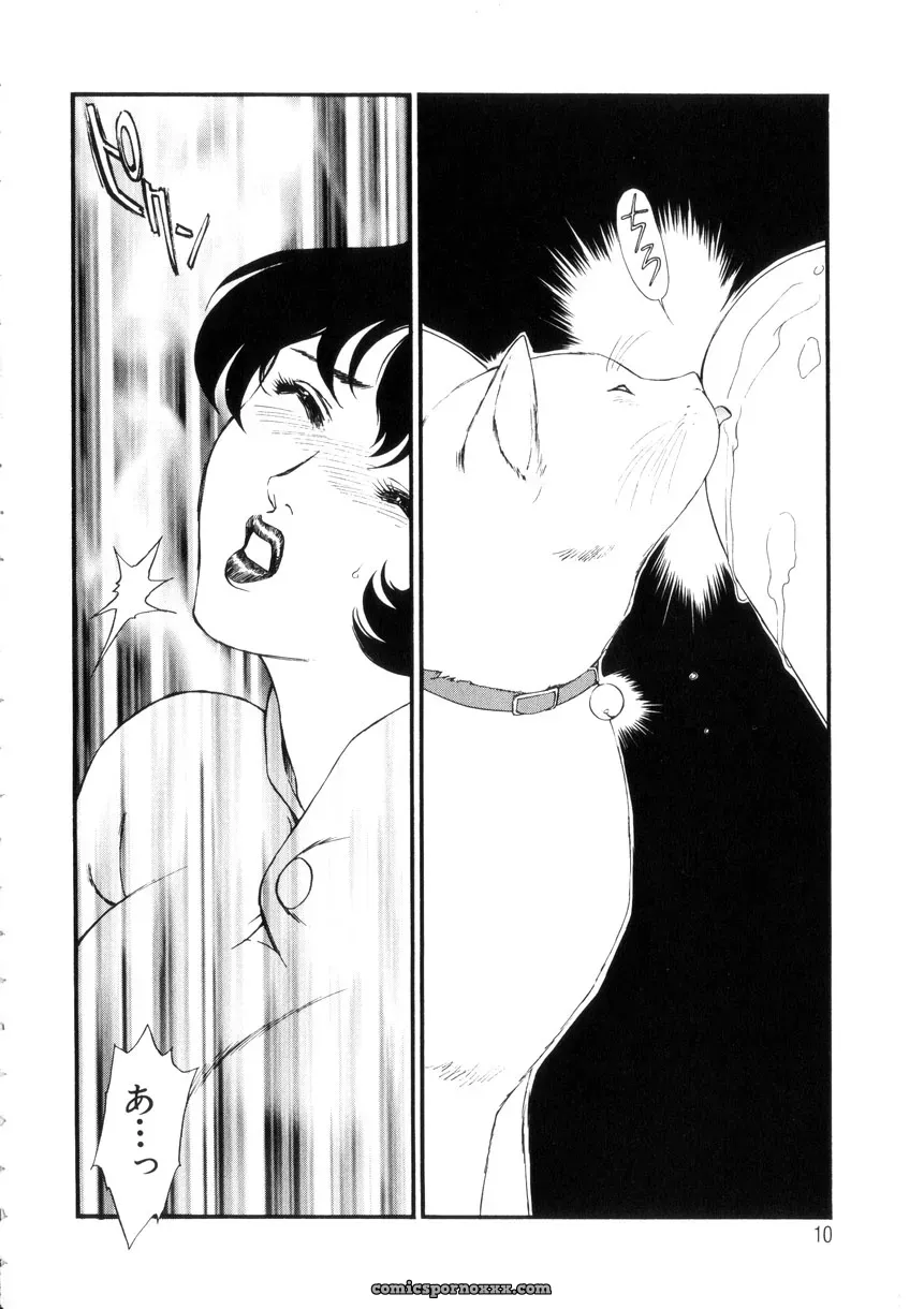Fujii Akiko & Akiyama Michio: Hitozuma Moyou 4 Yogarizuma - Page 11