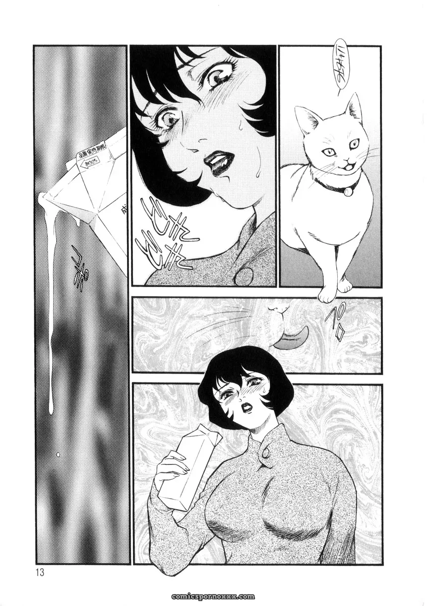 Fujii Akiko & Akiyama Michio: Hitozuma Moyou 4 Yogarizuma - Page 14