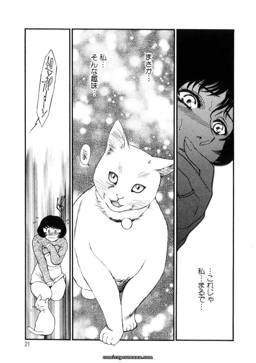 Fujii Akiko & Akiyama Michio: Hitozuma Moyou 4 Yogarizuma - Page 22