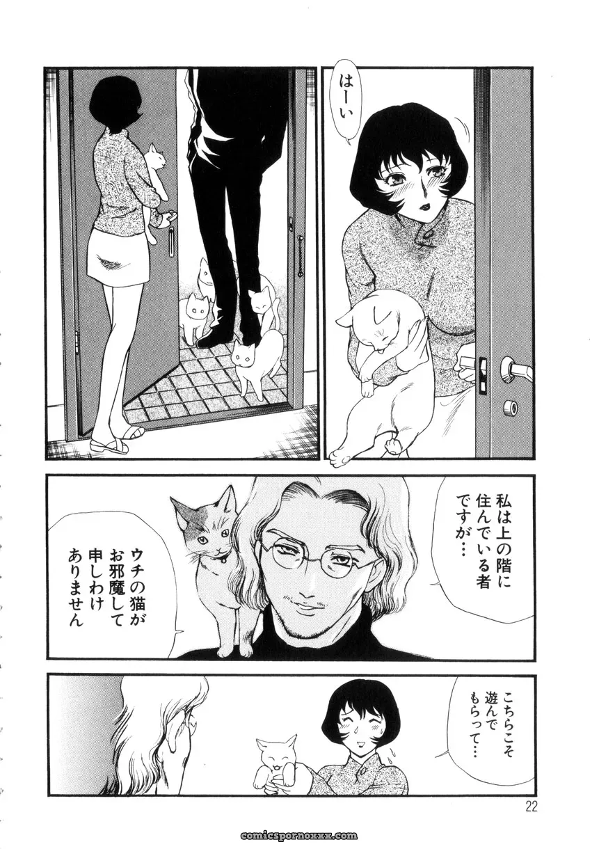 Fujii Akiko & Akiyama Michio: Hitozuma Moyou 4 Yogarizuma - Page 23