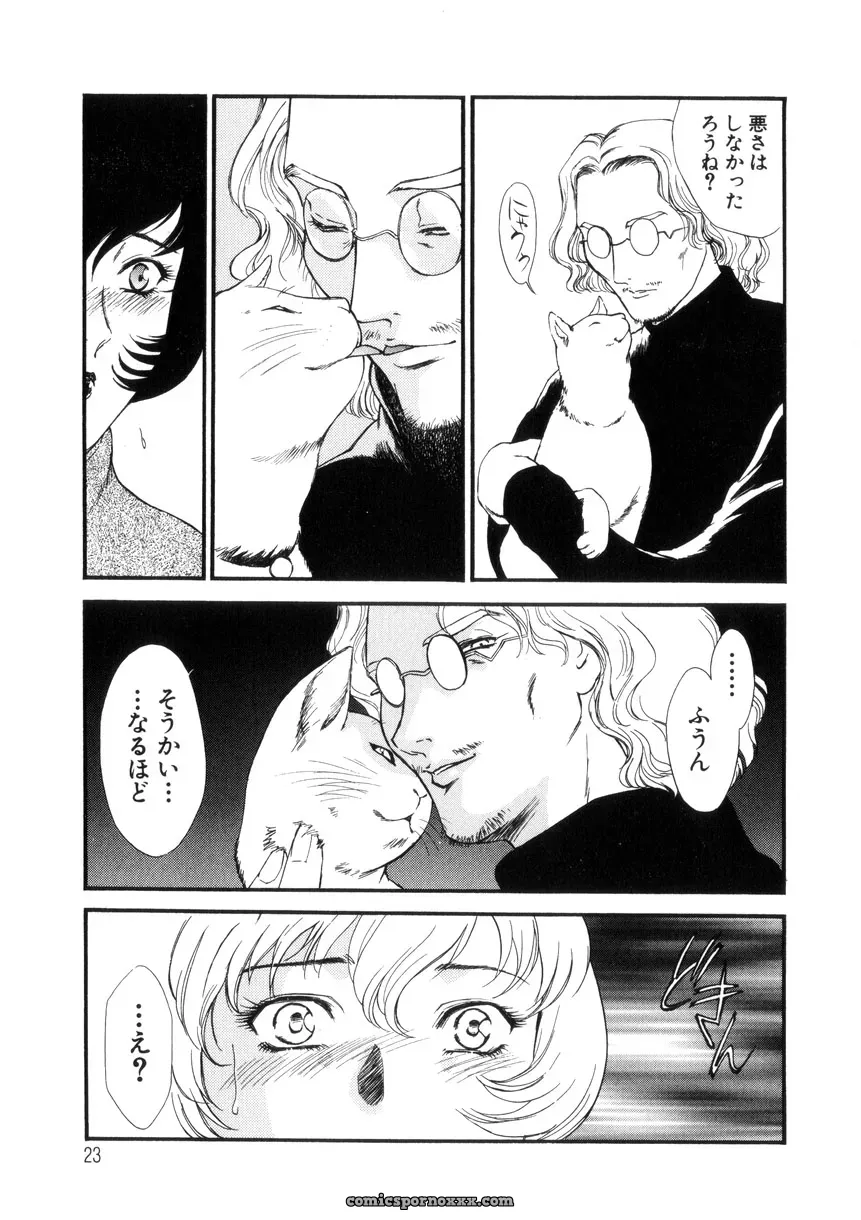 Fujii Akiko & Akiyama Michio: Hitozuma Moyou 4 Yogarizuma - Page 24