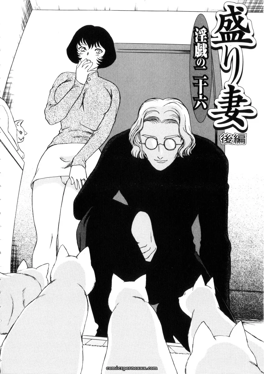 Fujii Akiko & Akiyama Michio: Hitozuma Moyou 4 Yogarizuma - Page 27