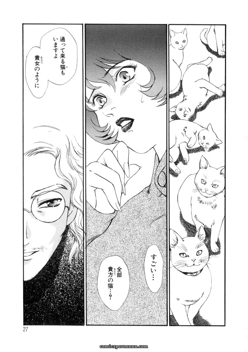 Fujii Akiko & Akiyama Michio: Hitozuma Moyou 4 Yogarizuma - Page 28