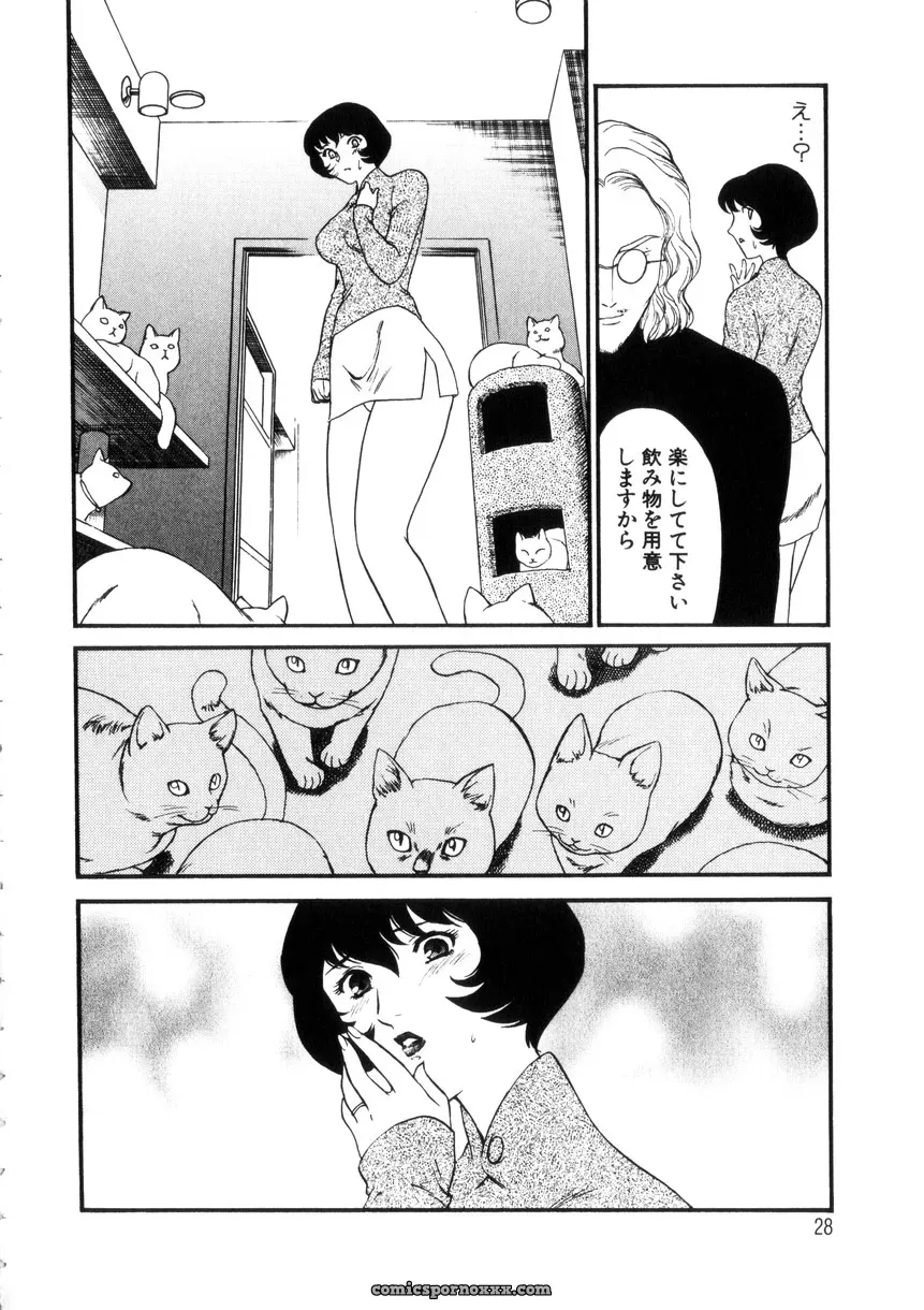 Fujii Akiko & Akiyama Michio: Hitozuma Moyou 4 Yogarizuma - Page 29