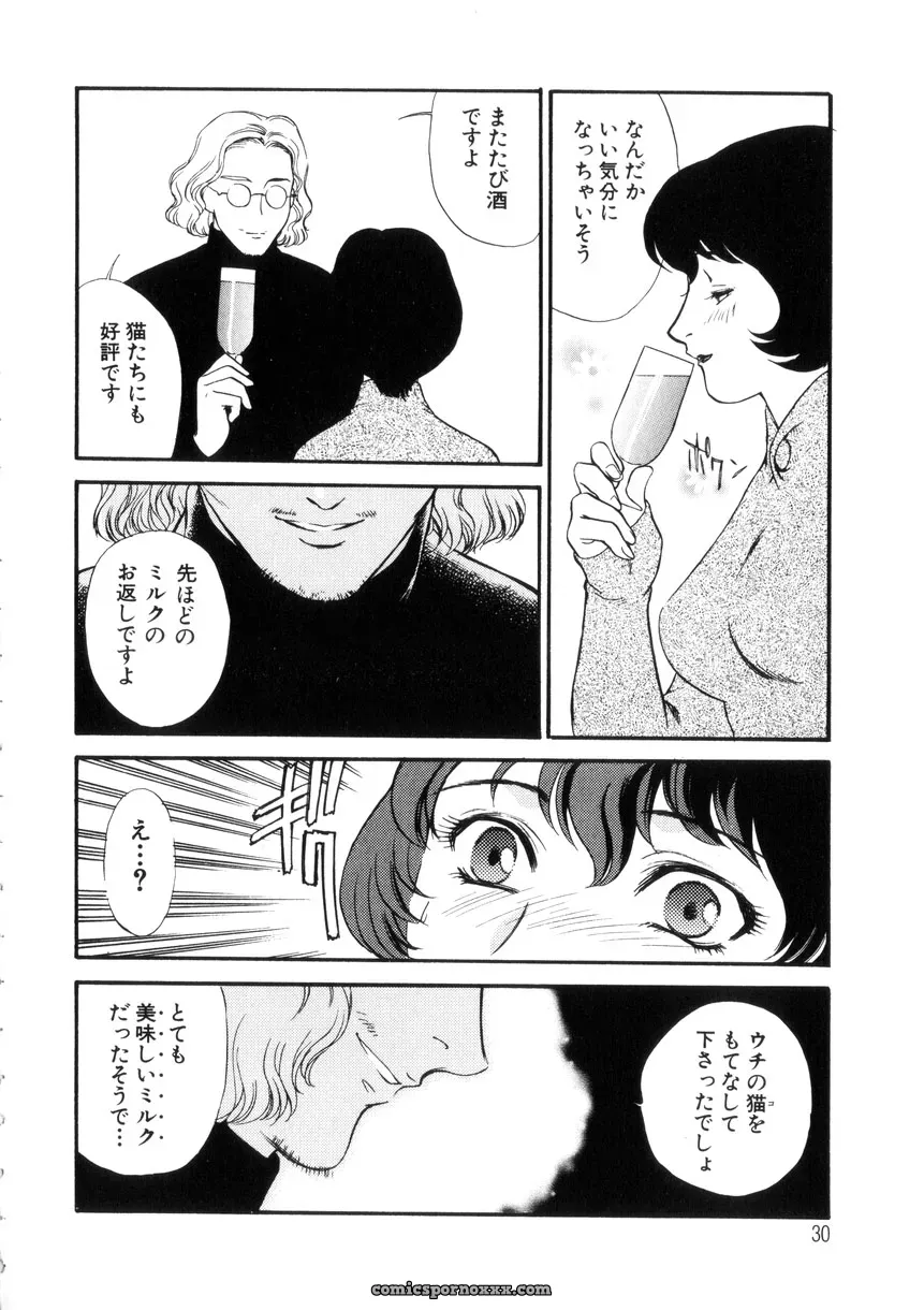 Fujii Akiko & Akiyama Michio: Hitozuma Moyou 4 Yogarizuma - Page 31