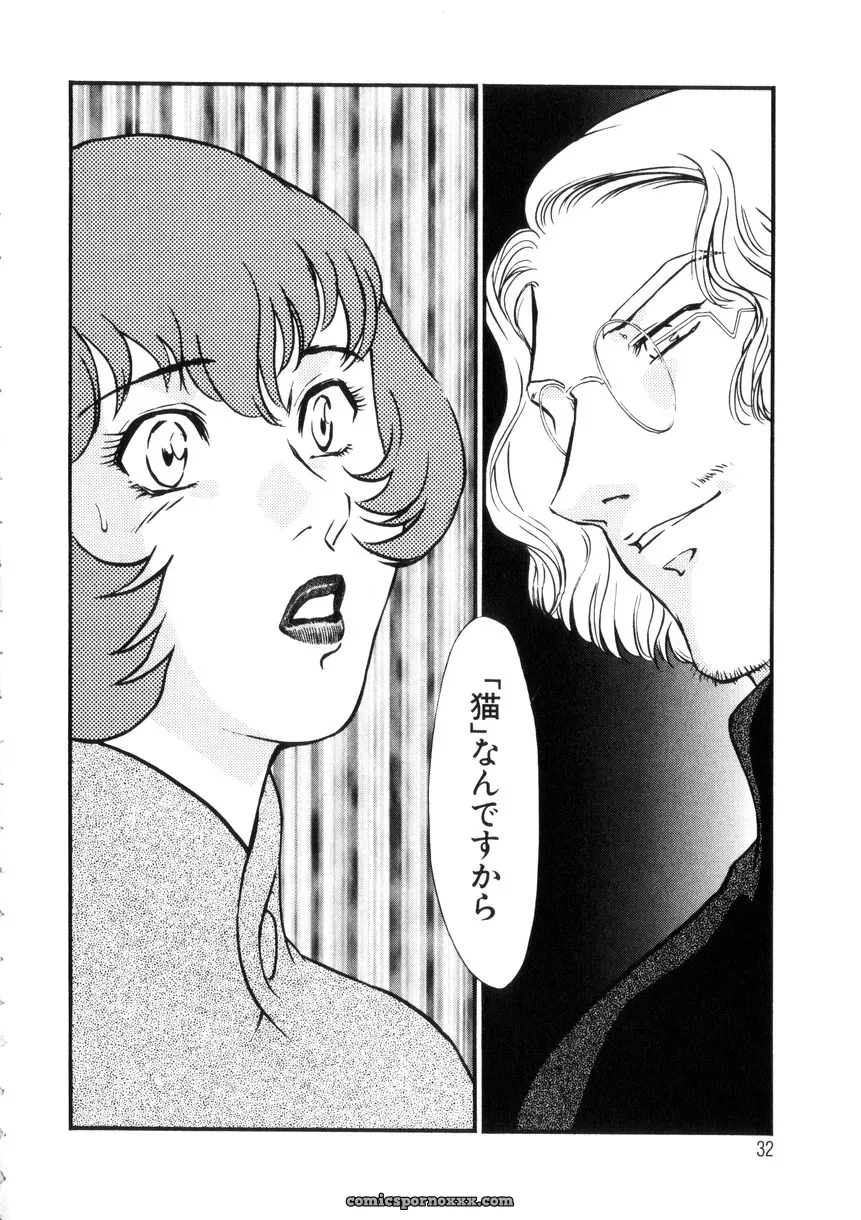 Fujii Akiko & Akiyama Michio: Hitozuma Moyou 4 Yogarizuma - Page 33
