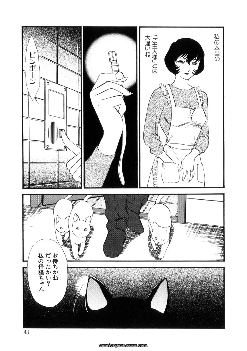 Fujii Akiko & Akiyama Michio: Hitozuma Moyou 4 Yogarizuma - Page 44