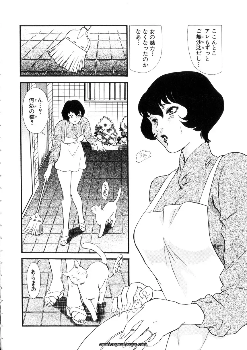 Fujii Akiko & Akiyama Michio: Hitozuma Moyou 4 Yogarizuma - Page 7
