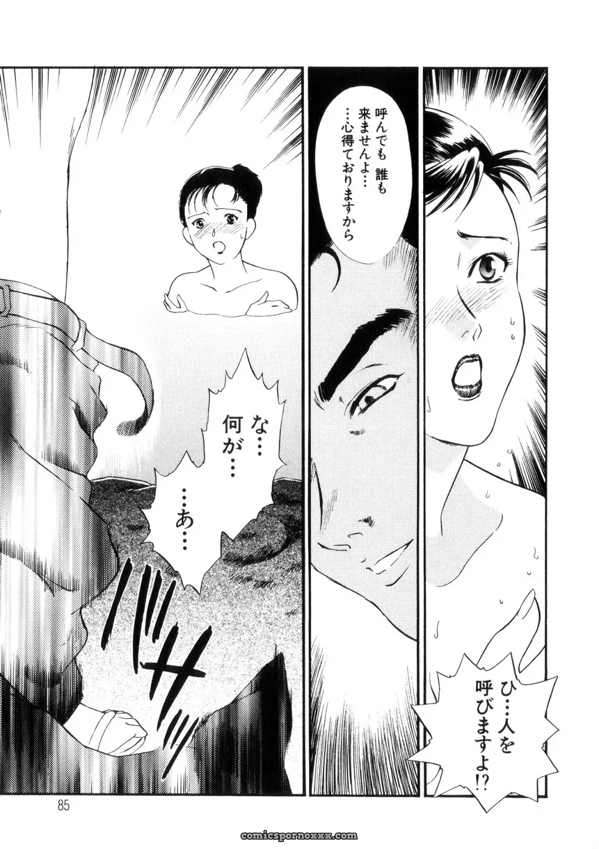 Fujii Akiko & Akiyama Michio: Hitozuma Moyou 4 Yogarizuma - Page 85
