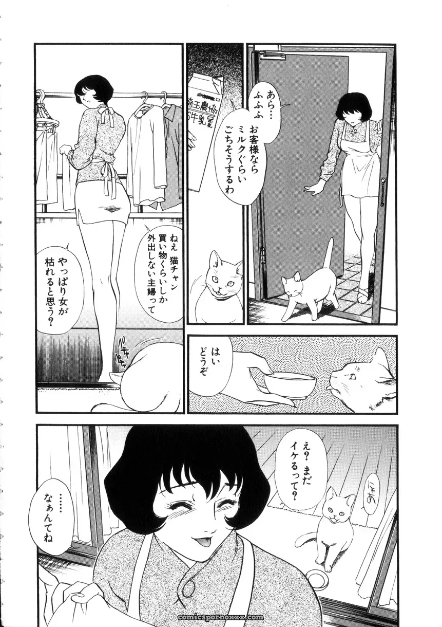 Fujii Akiko & Akiyama Michio: Hitozuma Moyou 4 Yogarizuma - Page 9