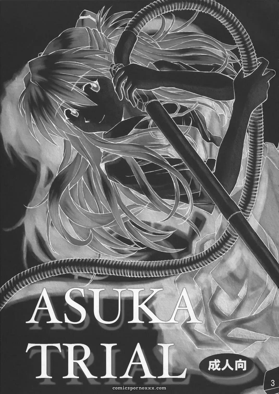 Asuka Trial (Neon Genesis Evangelion) – C67 Tengu no Tsuzura Doujinshi - Page 2