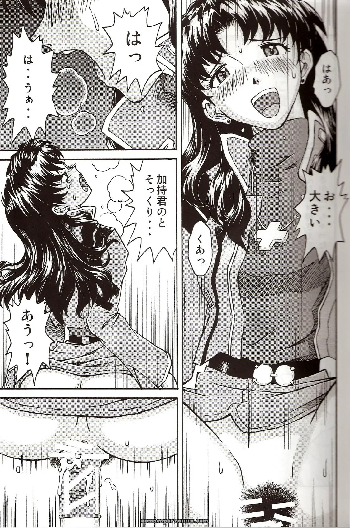 C71 Kuro Tengu Doujinshi: A Wild Evangelion Fancy - Page 15