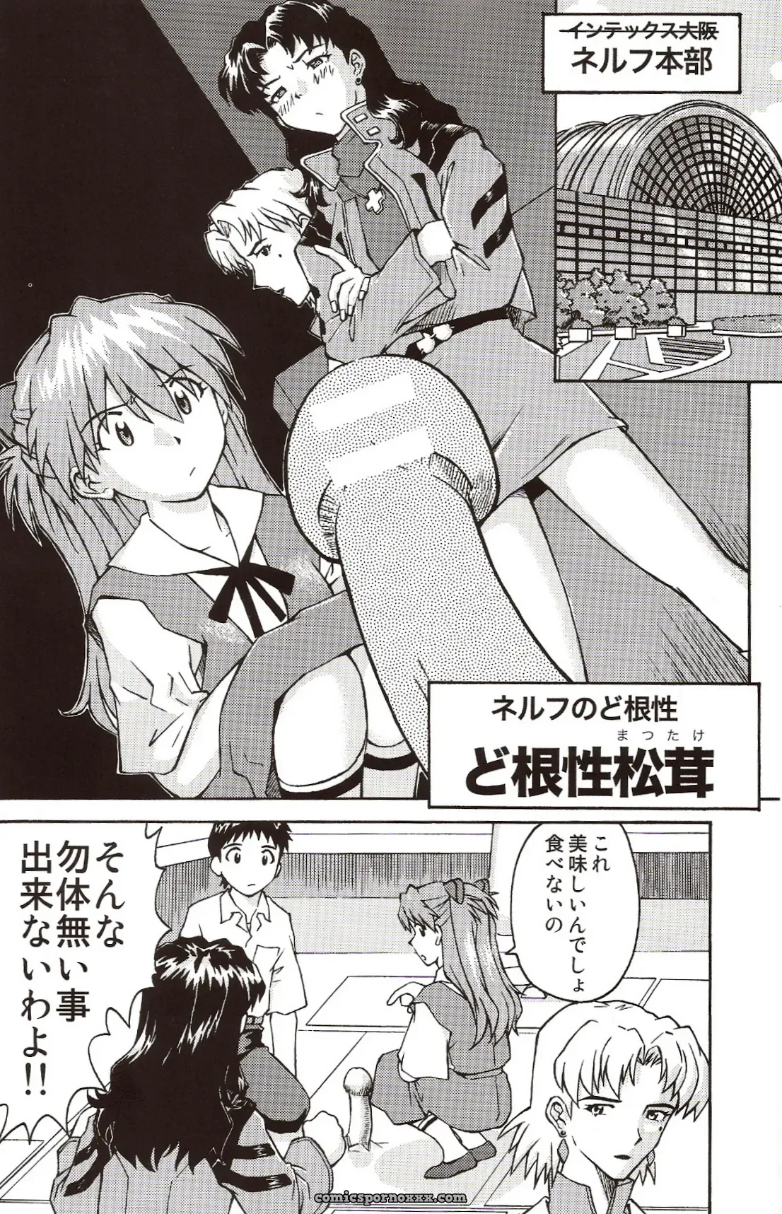 C71 Kuro Tengu Doujinshi: A Wild Evangelion Fancy - Page 8