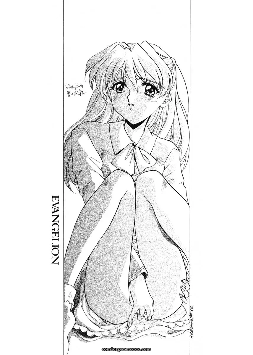 Ai to Iu Na no Aroma (Neon Genesis Evangelion) – CR19 Sukapon-Do Cover - Page 18
