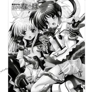 Mahou Shoujo Nanoha: Shimekiri Sanpunmae Tukimi Daifuku SaHa - Page 2