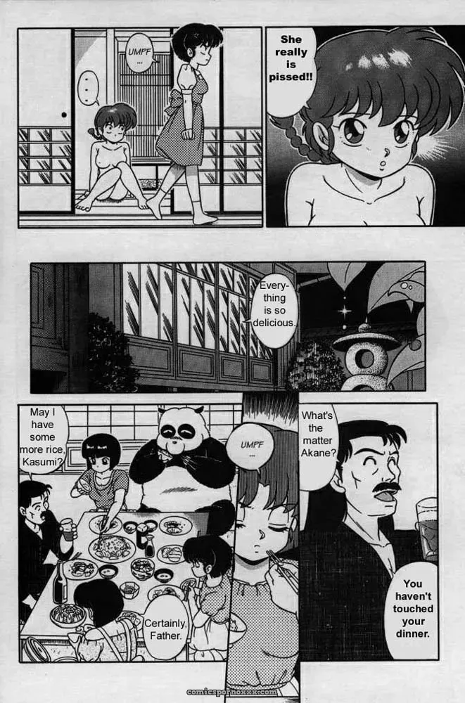 Ranma 1/2: Taya Takashi RANMA X The Touch of Akane – Happosai’s Revenge - Page 14