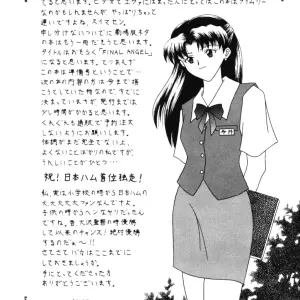 Imai Youki's System Speculation: LAST ANGEL (Neon Genesis Evangelion) - Page 34
