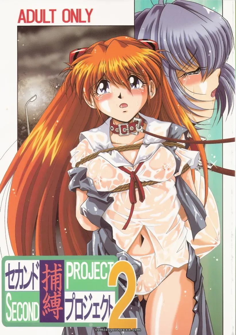 Thirty Saver Street 2D Shooter: Second Hobaku Project 2 (Evangelion) - Page 1