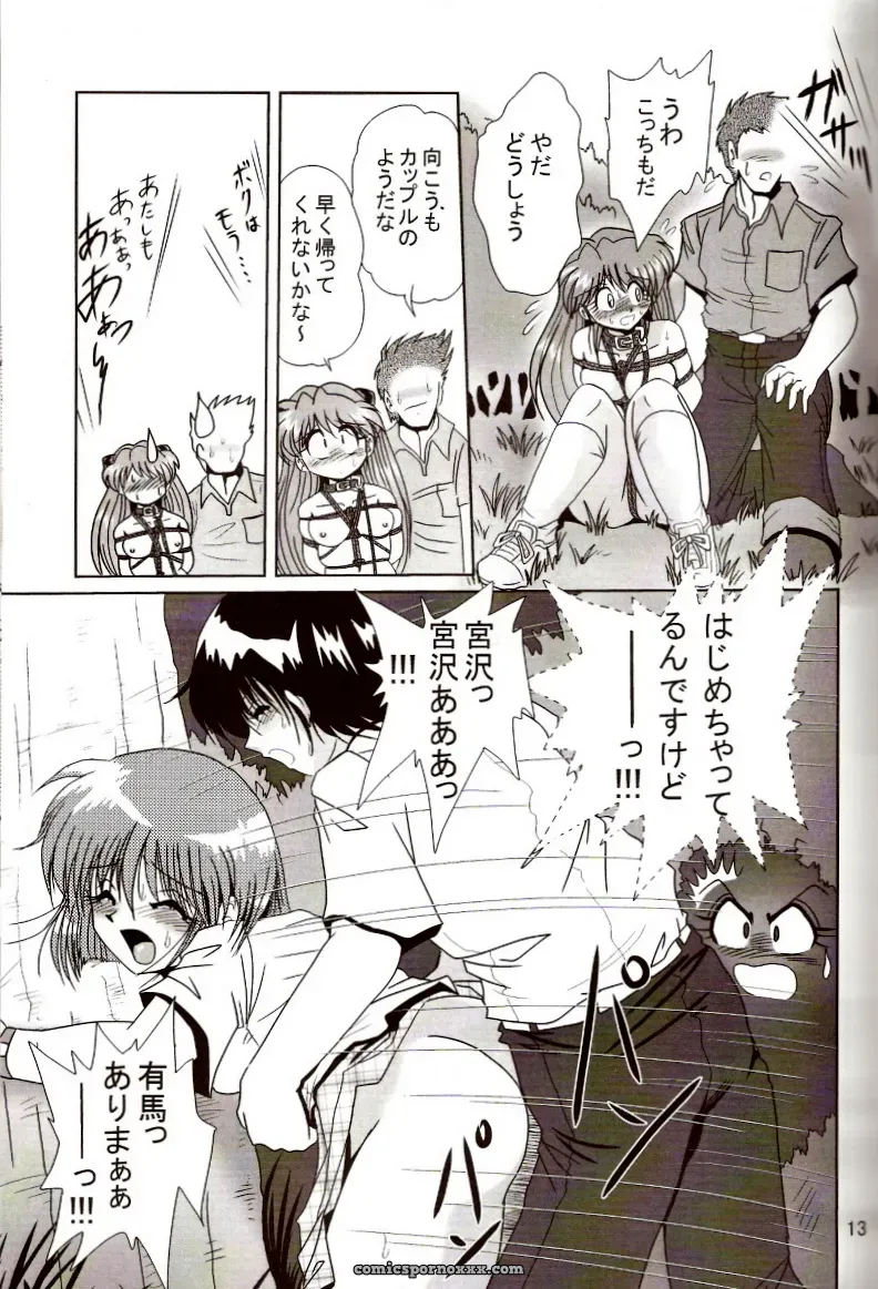 Thirty Saver Street 2D Shooter: Second Hobaku Project 2 (Evangelion) - Page 12