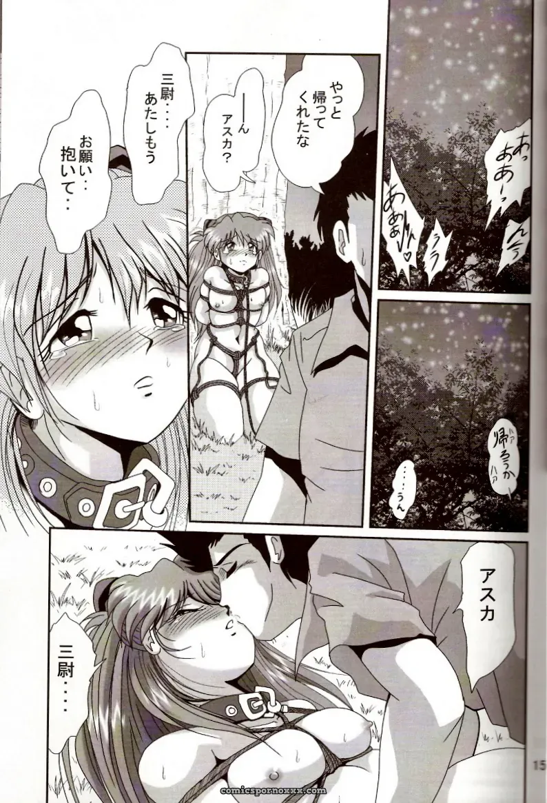 Thirty Saver Street 2D Shooter: Second Hobaku Project 2 (Evangelion) - Page 14