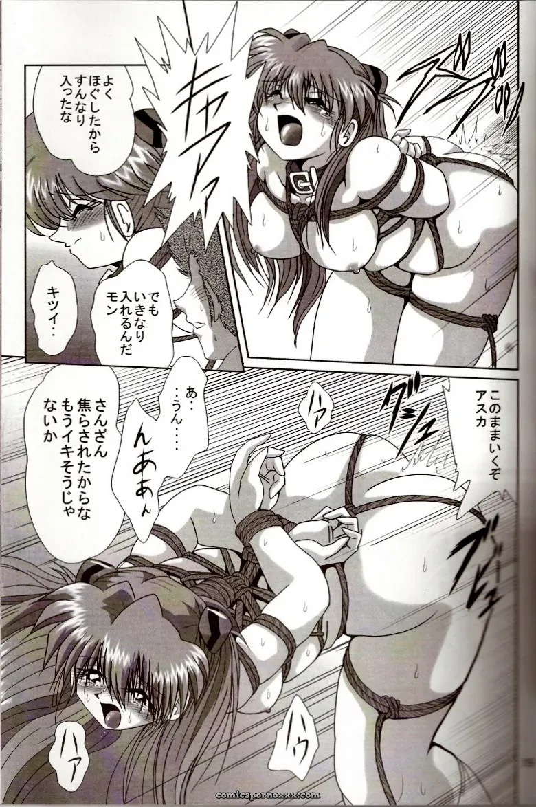 Thirty Saver Street 2D Shooter: Second Hobaku Project 2 (Evangelion) - Page 18