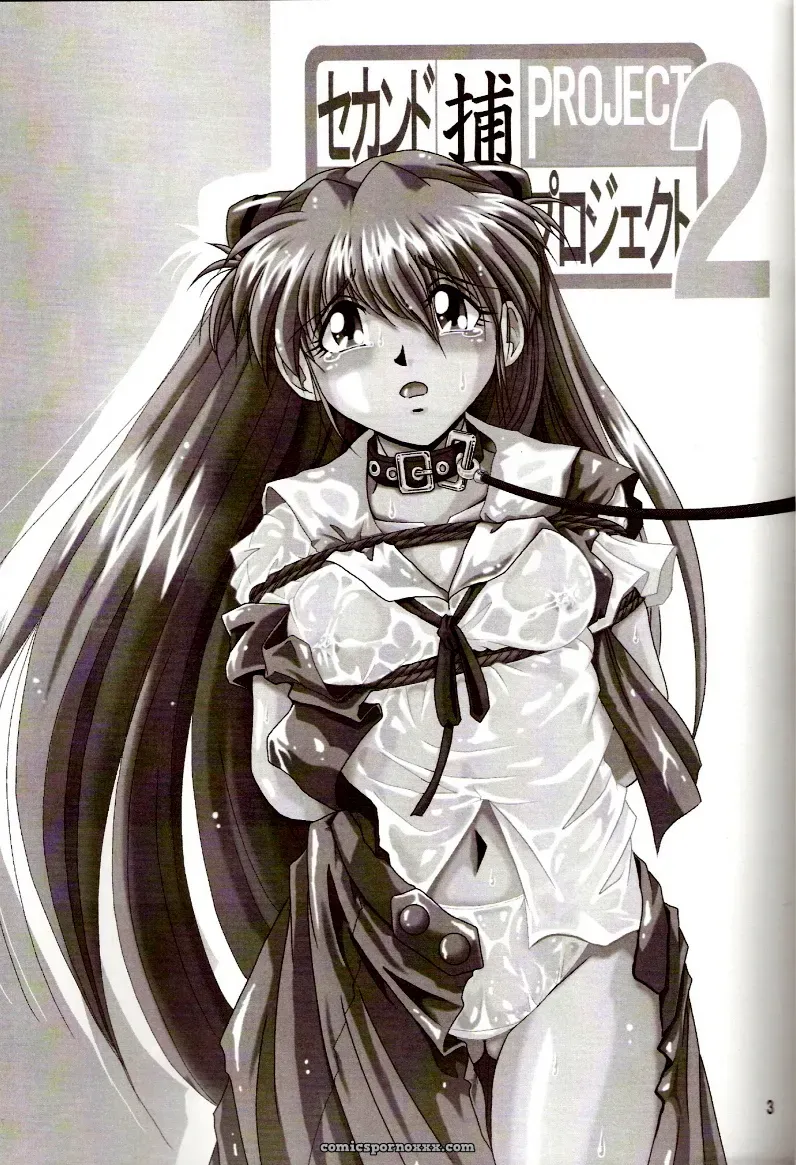 Thirty Saver Street 2D Shooter: Second Hobaku Project 2 (Evangelion) - Page 2