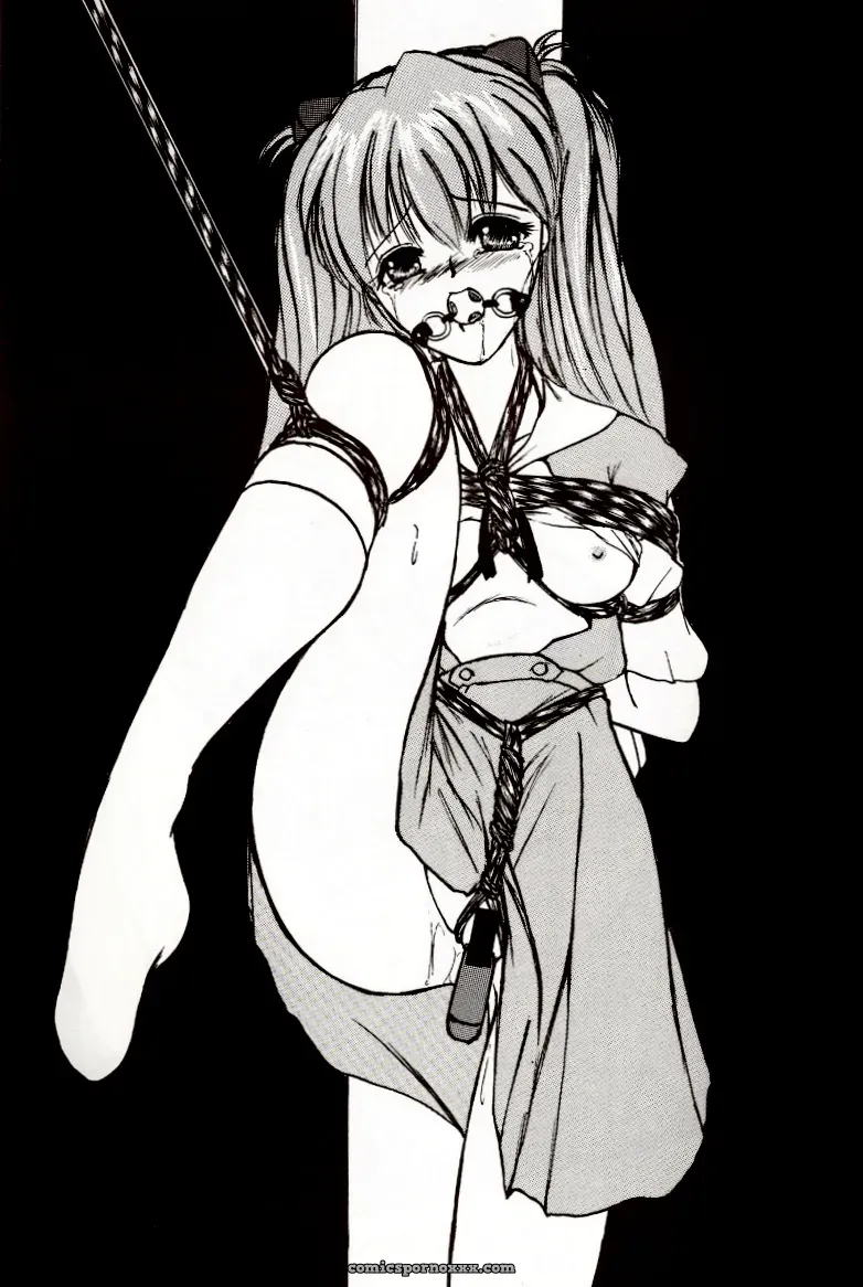 Thirty Saver Street 2D Shooter: Second Hobaku Project 2 (Evangelion) - Page 30