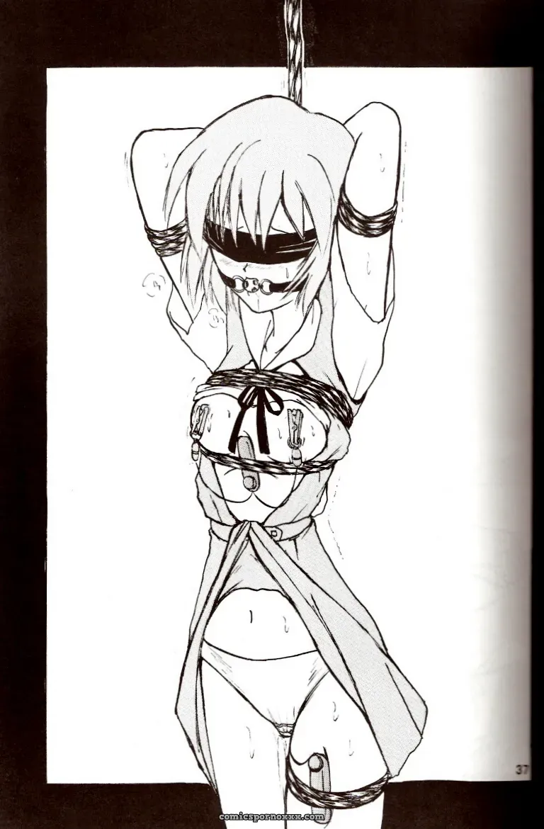 Thirty Saver Street 2D Shooter: Second Hobaku Project 2 (Evangelion) - Page 36