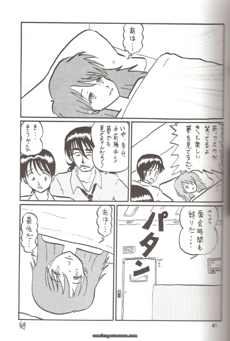 Thirty Saver Street 2D Shooter: Second Hobaku Project 2 (Evangelion) - Page 40