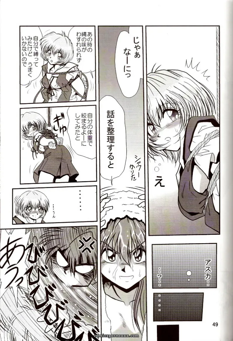 Thirty Saver Street 2D Shooter: Second Hobaku Project 2 (Evangelion) - Page 48