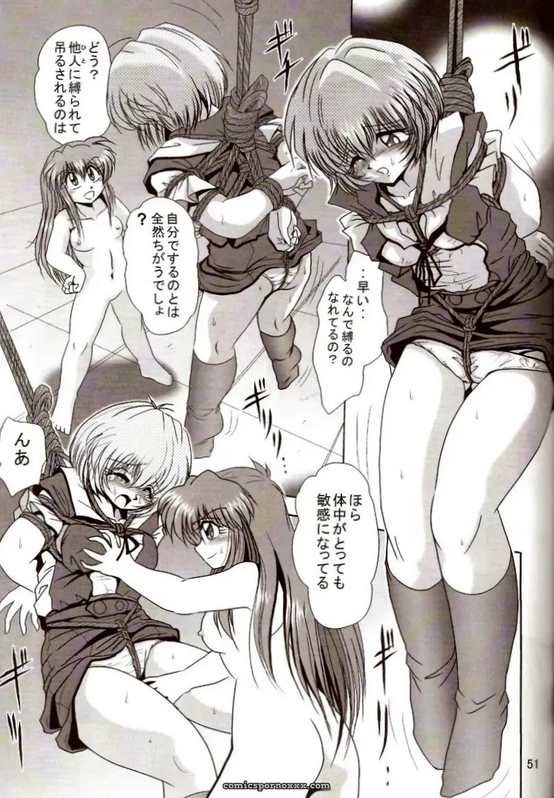 Thirty Saver Street 2D Shooter: Second Hobaku Project 2 (Evangelion) - Page 50