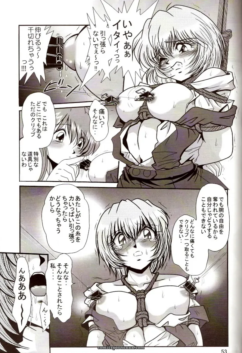 Thirty Saver Street 2D Shooter: Second Hobaku Project 2 (Evangelion) - Page 52