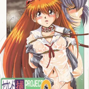 Thirty Saver Street 2D Shooter: Second Hobaku Project 2 (Evangelion) - Page 1