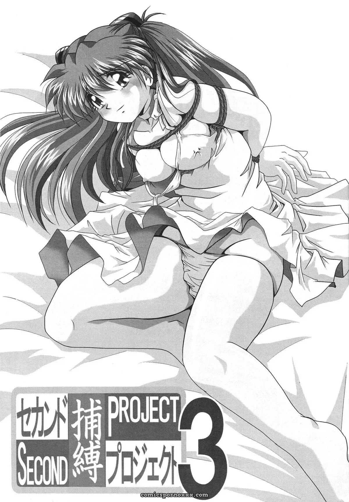 Thirty Saver Street 2D Shooter: Second Hobaku Project 3 (Evangelion) - Page 3