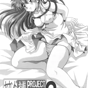 Thirty Saver Street 2D Shooter: Second Hobaku Project 3 (Evangelion) - Page 3