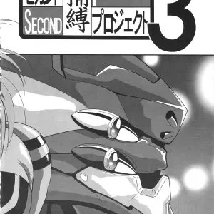 Thirty Saver Street 2D Shooter: Second Hobaku Project 3 (Evangelion) - Page 4