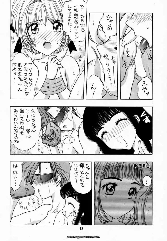 Cardcaptor Sakura: Sakura Tsuu 1 – Geiwamiwosukuu!! (Karura Syou) - Page 17