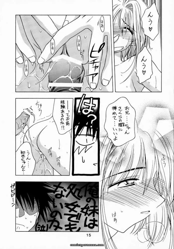Sakura Cardcaptor Sakura 3: Geiwamiwosukuu!! (Karura Syou) – C59 - Page 14